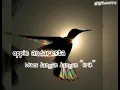 Download Lagu Oppie A - Blues Jangan Jangan (Karaoke)