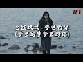Lagu 金钰双双 - 梦里的你 (梦里的梦梦里的你）『梦里的爱离我远去，梦里的人藏在心底。』【动态歌词MV】