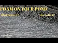What causes foam on a pond How to fix