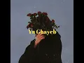 Ya Ghayeb