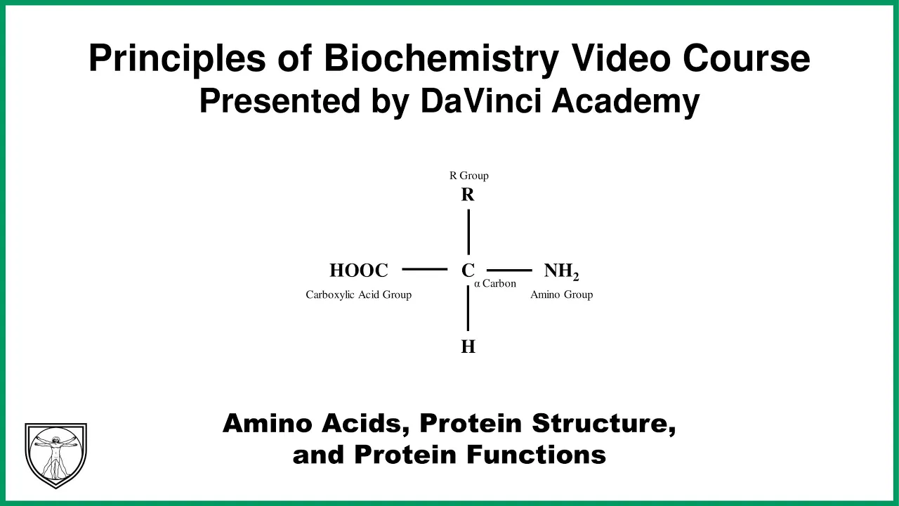 Amino Acids, Protein Structure, and Protein Functions [Molecular Biology 4 of 11]