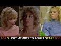 Top 5 Blonde Hair Adult Actresses Of 80s you may not know K C Valentine