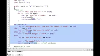 C Validating Input with a while Loop