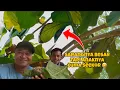 Download Lagu Mudah diketahui, kalau ada anaknya, induknya pasti berisik sekali 😅