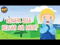 Lagu Kenapa Bisa Keluar Air Mata? | Sali Saliha Juga Tau | Animasi Anak