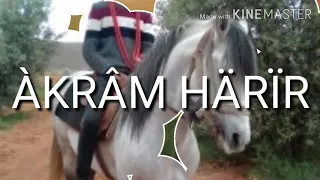 اغنية الفروسية الجزائرية 