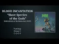 Blood Incantation - Slave Species of the Gods (bass cover with tab)