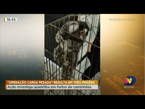 "Operação Carga Pesada": ação investiga quadrilha por furtos