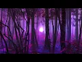 Kisnou - OUT OF THE DARK EP
