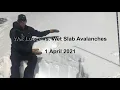 Wet Loose vs Wet Slab Avalanches 1 April 2021