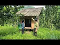 Download Lagu No More Wandering: Homeless Girl Surprised by Kind Policeman's Gift of a House in the Deep Forest