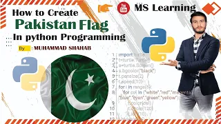 How to create Pakistan Flag in turtle python programming