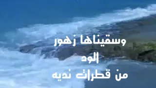 موسيقى رومانسيه هائة رائعة جدا لاتفوتكم وخاطرة ترانيم حب للشاعر فاضل الراوي 