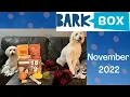 November 2022 Barkbox Review
