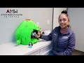 Warm and Welcoming Pet Care Experience Animal Medical Hospital of Pasadena