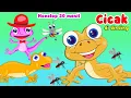 Download Lagu CICAK CICAK DI DINDING, NONSTOP CICAK DI DINDING
