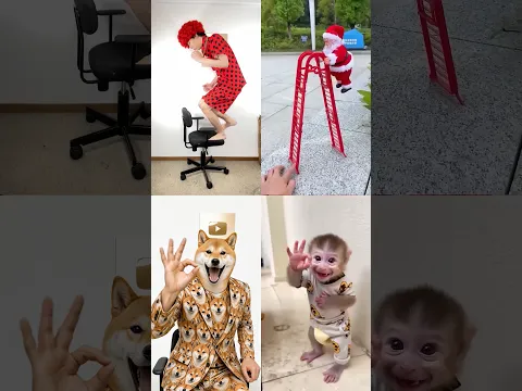 Cute 😂