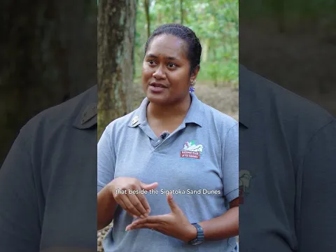 The Story Behind Sigatoka Sand Dunes, Told by the People Who Protect It ♥️