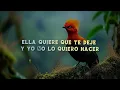 LEGADO 7 - LOS MENSAJES DE WHATSAPP