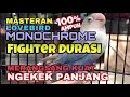 Download Lagu Masteran Lovebird Monochrome ampuh untuk merangsang Burung Bahan ikut ngekek aktif