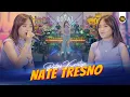 Download Lagu PUTRI KRISTYA - NATE TRESNO ( Official Live Video Royal Music )