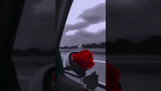 بالعربية نحبك والسوري Je T Aime تونس 