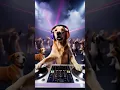 Download Lagu When House Meets Howl: World's First AI Dog DJ!