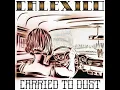 Slowness - Calexico