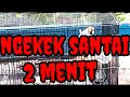 Download Lagu Lovebird ngekek santai 2 menit