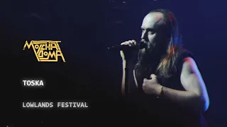 Molchat Doma - Toska (Live at Lowlands 2025)