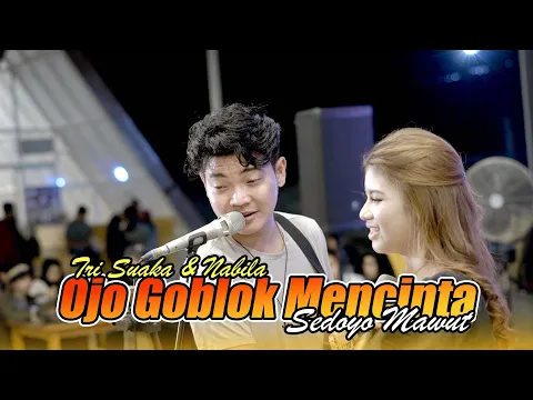 Download MP3 Ojo Goblok Mencinta - Sedoyo Mawut (live Ngamen) Tri Suaka & Nabila