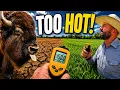 I Tested My Pasture The Results Shocked Me