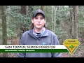 A Career in Forestry