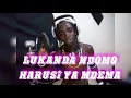 Lagu LUKANDA NDOMO-- HARUSI YA   MDEMA -- BY LWENGE STUDIO INYONGA --0757288480