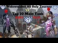 Top 10 Main Tank Enters Professional Widowmaker HS Only Tournament -