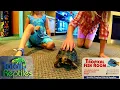 Totally Reptiles and The Tropical Fish Room in Brantford Ontario