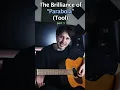 The Brilliance of "Parabola" (Tool) part 1