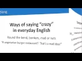 Cambridge School synonyms for crazy