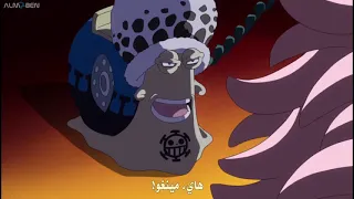 عندما يرد لوفي على المكالمة الهاتفية مقتطفات ون بيس 