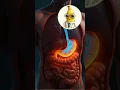 Download Lagu Is drinking cold water after meals bad for digestion?#shorts #health