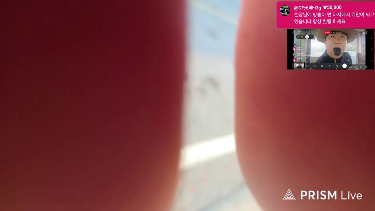 멸치