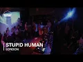 Download Lagu Stupid Human 40 Min Mix
