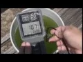 Pond Ecology - Classroom Demonstration