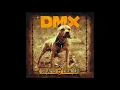 DMX Don't Gotta Go Home