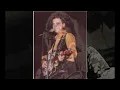 Waylon Jennings "Ladies Love Outlaws"
