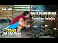 Download Lagu 🔴Kehidupan Gadis Dayak Mandi dan Bakar Daging Babi di Pondok | Kehidupan Suku Dayak Kalimantan Barat