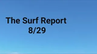The Surf Report August 29