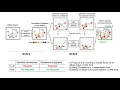 Learning to Cluster Faces via Confidence and Connectivity Estimation