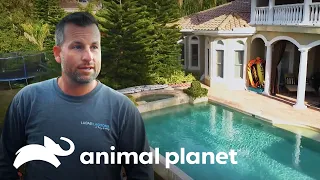 Lucas Enfrenta el Reto de Construir una Casa del Árbol | Piscinas Increíbles | Animal Planet