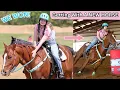 GETTING WITH A NEW BARREL HORSE EPISODE 1